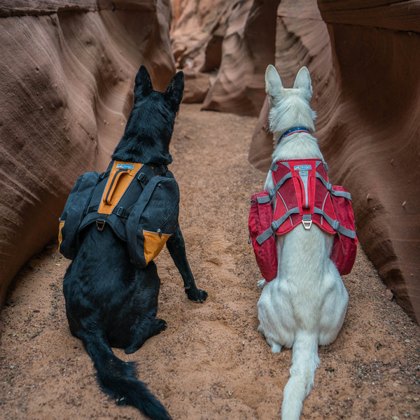Kurgo Big Baxter Dog Backpack