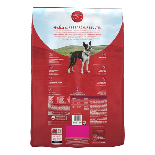 Purina ONE Small Bites Beef and Rice Formula Small High Protein Dry Do   Petsense