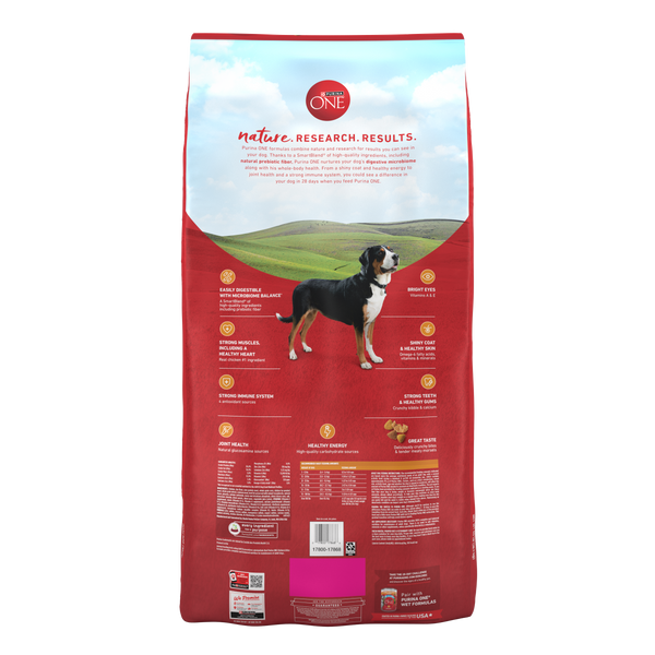 Purina ONE Chicken and Rice Formula Dry Dog Food – Petsense