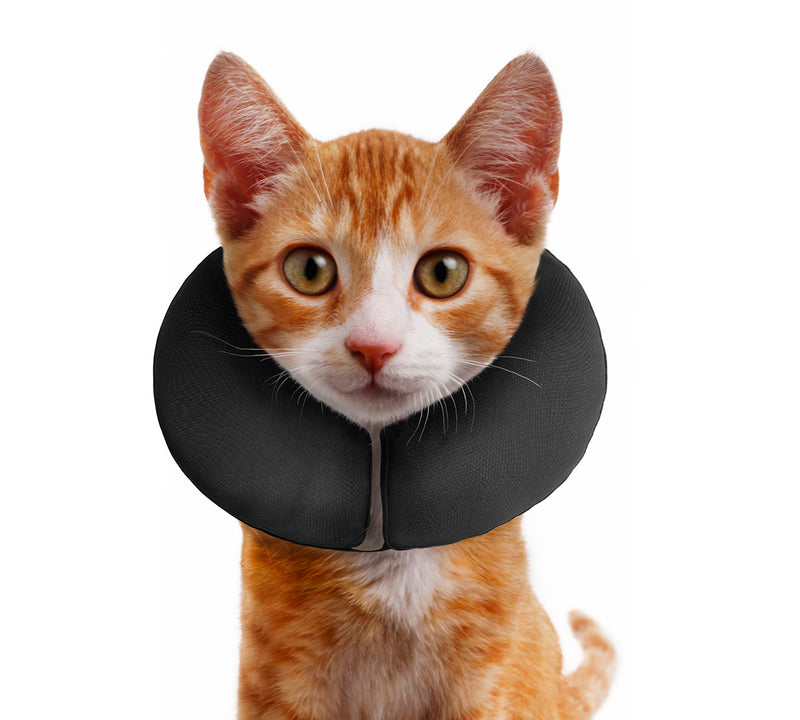 ZenPet ZenCollar The Original Inflatable Recovery Collar for Dogs & Cats