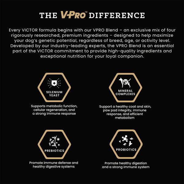 Victor Ocean Fish Dry Dog Food, 5lb – Petsense - Main Image