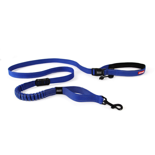 EzyDog Road Runner Dog Leash – Petsense