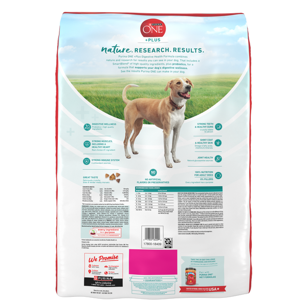 Purina One Plus Digestive Health Formula Dry Dog Food Natural with Add –  Petsense