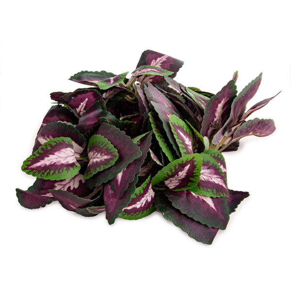 fluker's repta vines pothos for reptiles and amphibians Fluker's Repta Vine