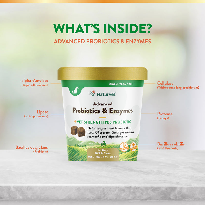 NaturVet Advanced Probiotic & Enzyme Soft Chew