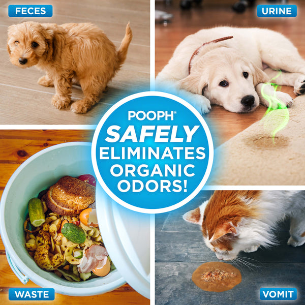 POOPH® Pet Odor Eliminator, 20oz Spray – Petsense