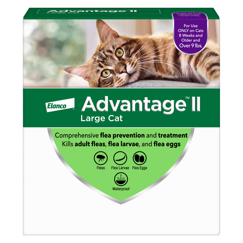 Advantage II Large Cat Vet-Recommended Flea Treatment & Prevention | Cats Over 9 lbs.