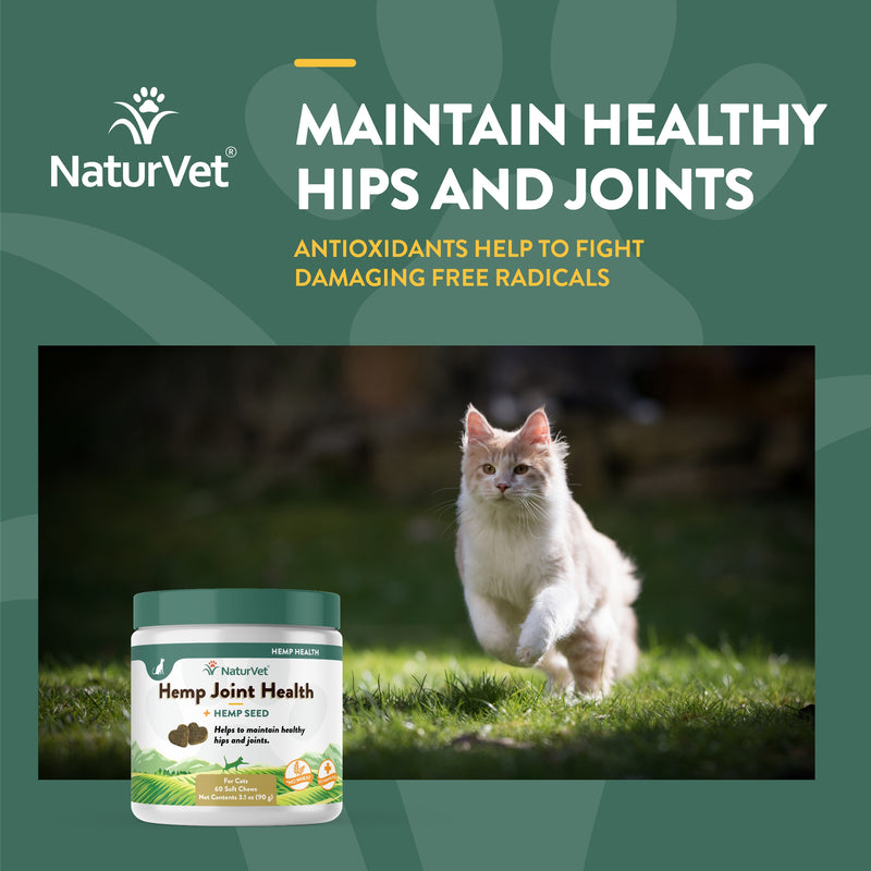NaturVet Hemp Joint Soft Chew for Cats