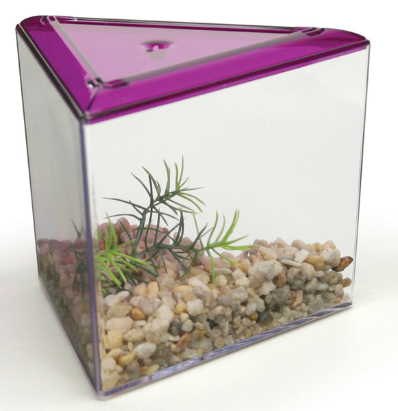 chewy fish tank accessories Lee's Aquarium Triangle Betta Fish Keeper Tank