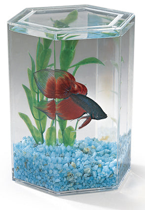 Lee's Aquarium BettaHex Fish Tank, Small