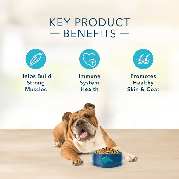 Blue Buffalo Basics Grain Free Adult Salmon & Potato Recipe Dry Dog Fo –  Petsense