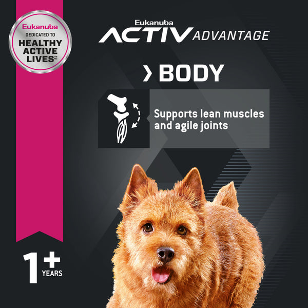 Eukanuba Adult Maintenance Small Breed Chicken Formula Dry Dog