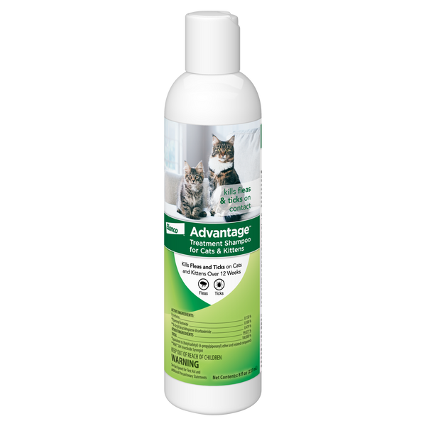 Elanco Advantage Treatment Shampoo for Cats and Kittens Petsense