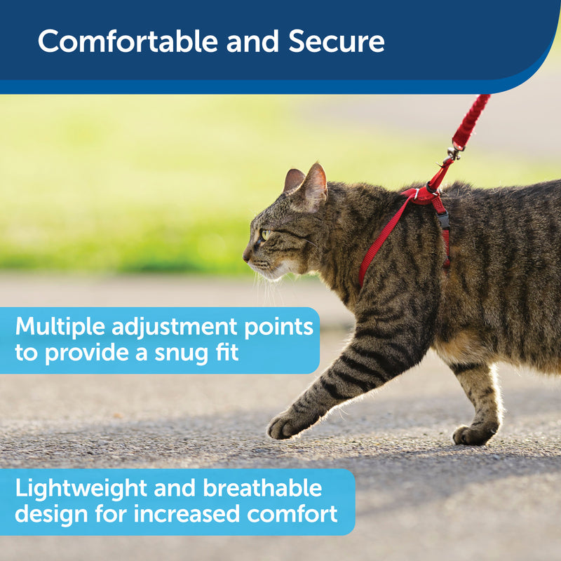 PetSafe Come with Me Kitty Harness and Bungee Leash – Adjustable, Lightweight Harness for Cats, Red