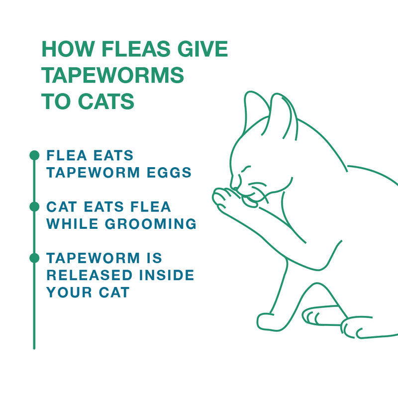 Elanco Tapeworm Dewormer for Cats, 3ct.