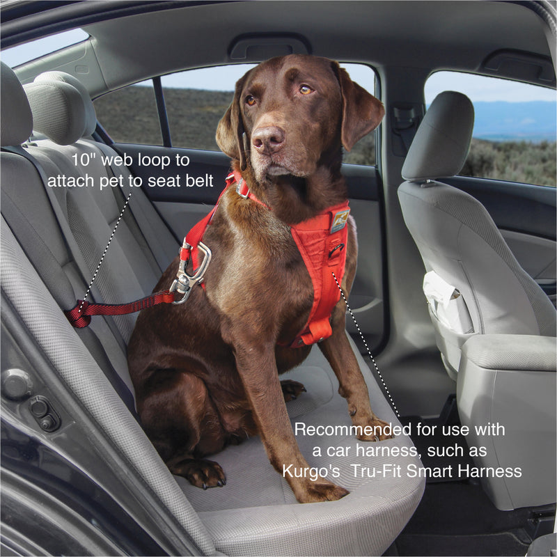 Kurgo Swivel Seatbelt Tether for Dogs, Car Seat Belt for Pets, Adjustable Dog Safety Belt Leash, Quick & Easy Installation, Works with Any Pet Harness