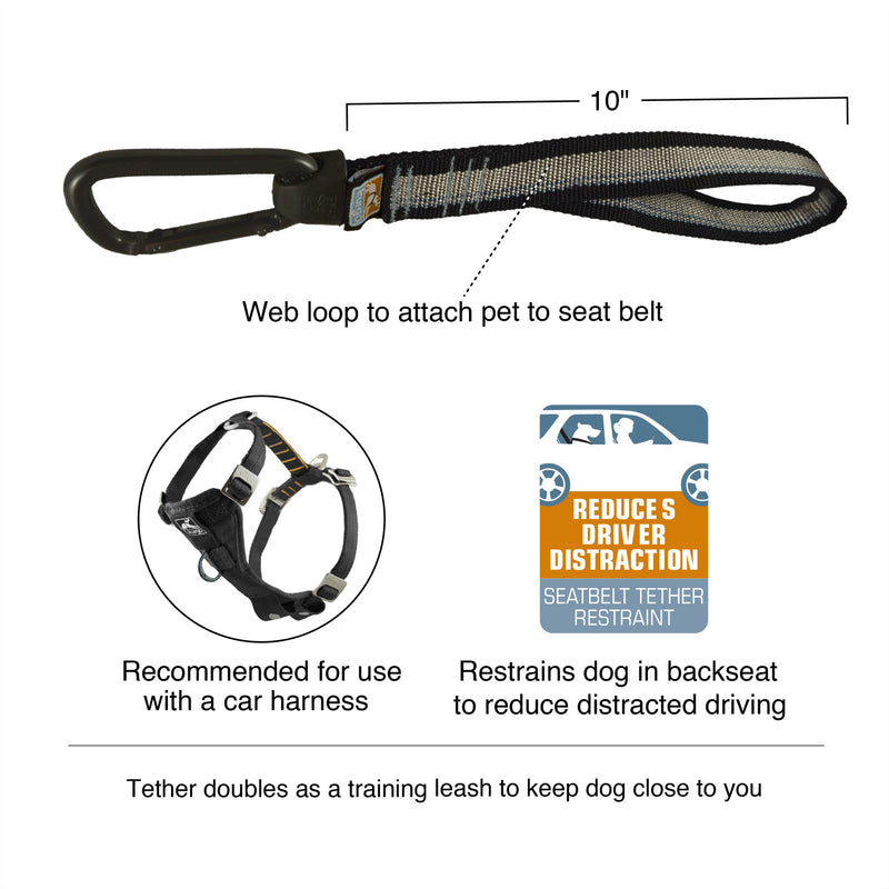 Web loop to attach pet to seat belt. Recommended for use with a car harness.  Restrains dog in back seat to reduce distracted driving.  Tether doubles as a training leash to keep dog close to you.