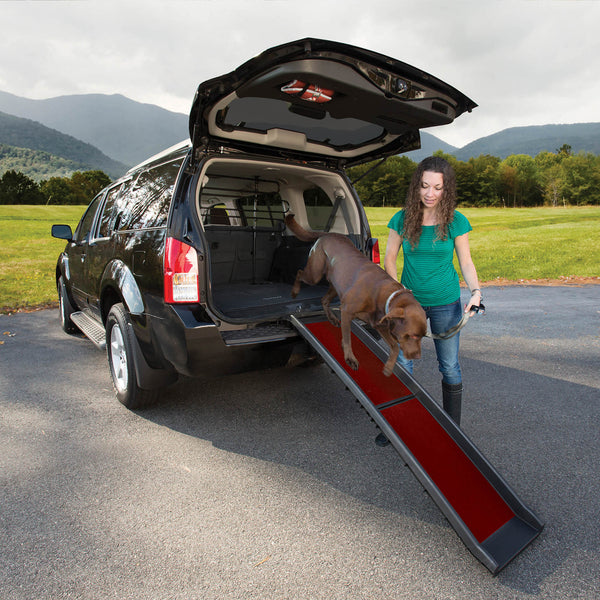Kurgo Wander Ramp – Petsense