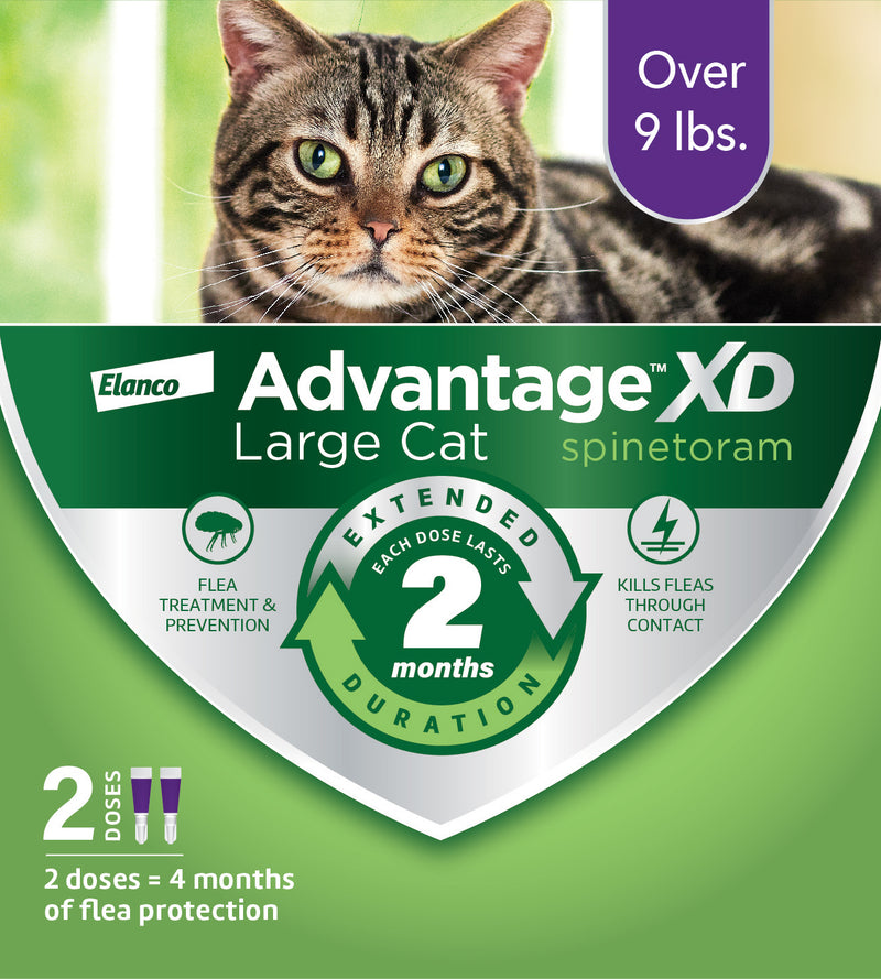 Advantage XD Topical Flea Protection for Large Cats, 2 Pk