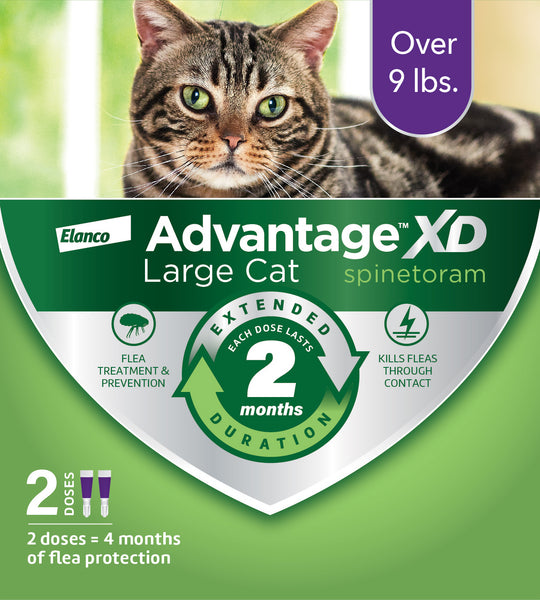 Advantage XD Topical Flea Protection for Large Cats, 2 Pk Petsense
