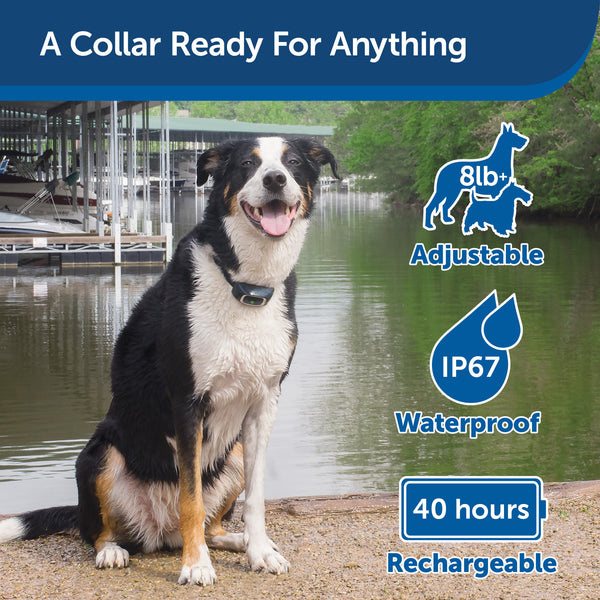 PetSafe 600 Yard Remote Training Collar – Choose from Tone, Vibration, –  Petsense