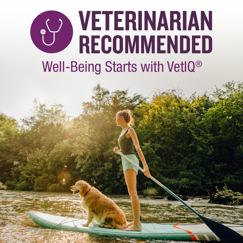 VetIQ Calming Dog Chew 60ct