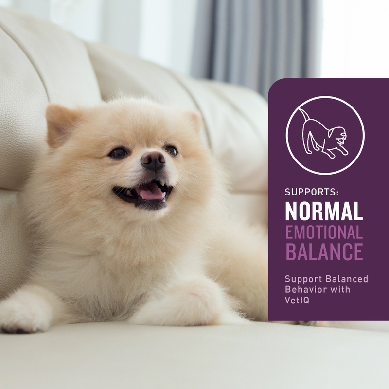 VetIQ Calming Dog Chew 60ct