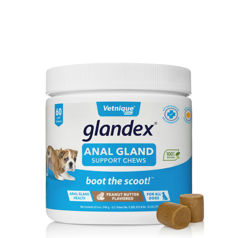 Glandex Anal Gland Fiber Supplement Soft Chews for Dogs