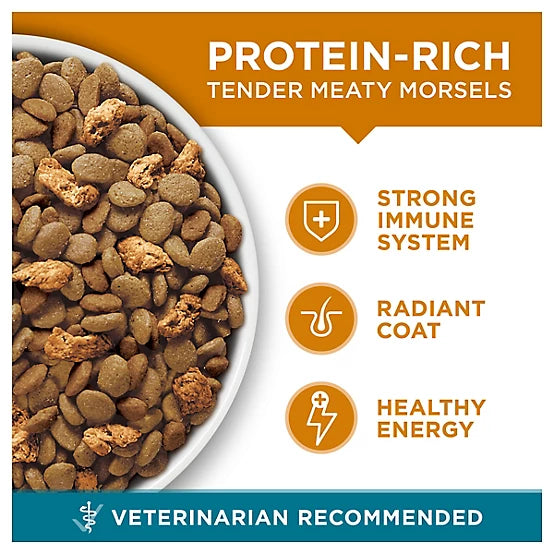 Purina ONE Tender Selects Adult Indoor/Outdoor Chicken Recipe Natural Dry Cat Food, 7lb