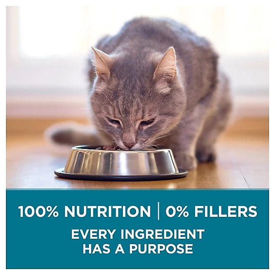 Purina ONE Tender Selects Adult Indoor/Outdoor Chicken Recipe Natural Dry Cat Food, 7lb