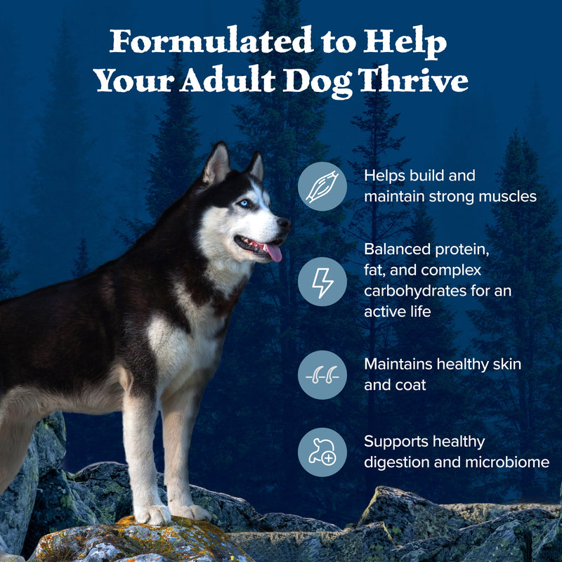 Blue Buffalo Wilderness Adult High-Protein Dry Dog Food with Real Chicken, Grain-Free, Made in the USA with Natural Ingredients, Chicken, 24-lb Bag