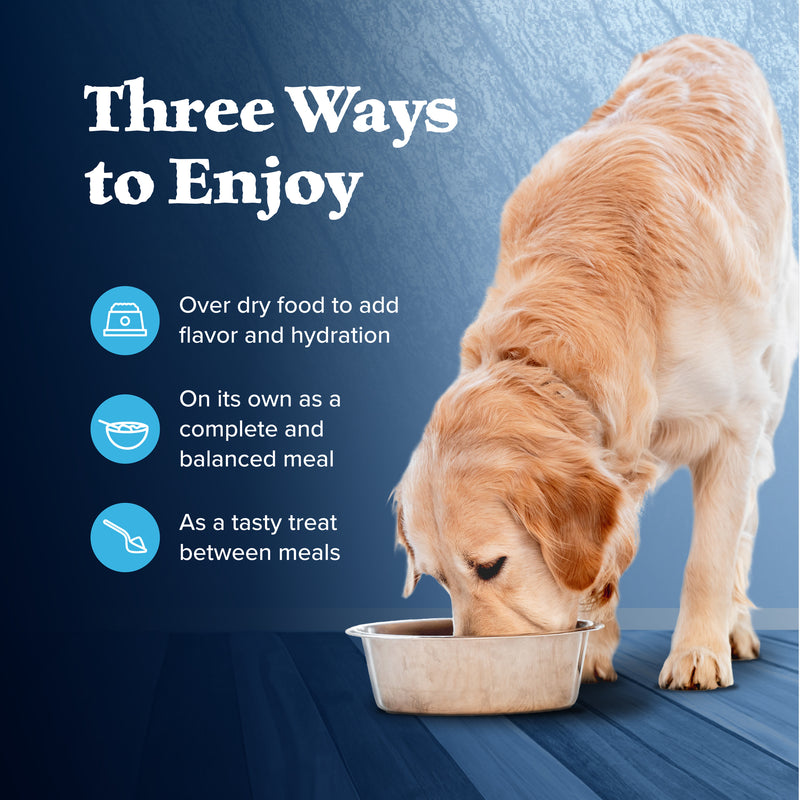 Blue Buffalo Wilderness Adult Wet Dog Food, High-Protein & Grain-Free, Made with Natural Ingredients, Turkey & Chicken Grill, 12.5-oz. Can