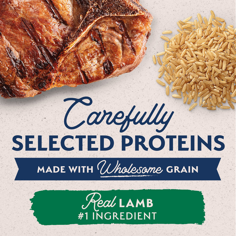 Natural Balance Limited Ingredient Wet Dog Food, Lamb & Brown Rice Recipe, 13 oz.
