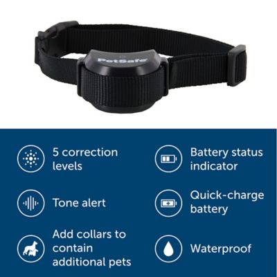 PetSafe Stay and Play Wireless Fence Rechargeable Pet Collar Receiver