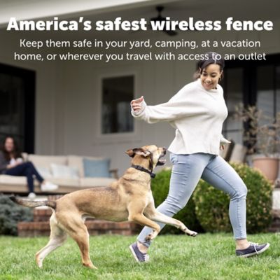 PetSafe Stay and Play Wireless Fence Rechargeable Pet Collar Receiver
