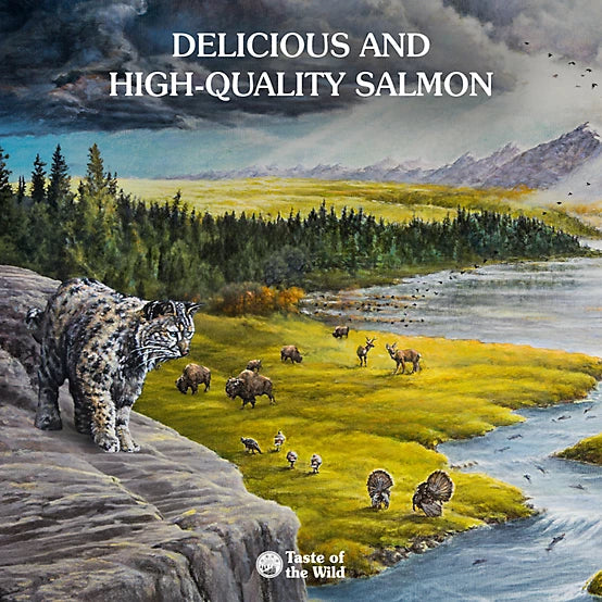 Taste of the Wild Canyon River Adult Trout and Salmon in Gravy Wet Cat Food, 3 oz.