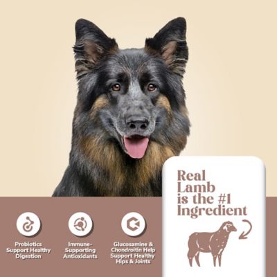 4health with Wholesome Grains Mature Adult And Vitality Lamb Recipe Dry Dog Food