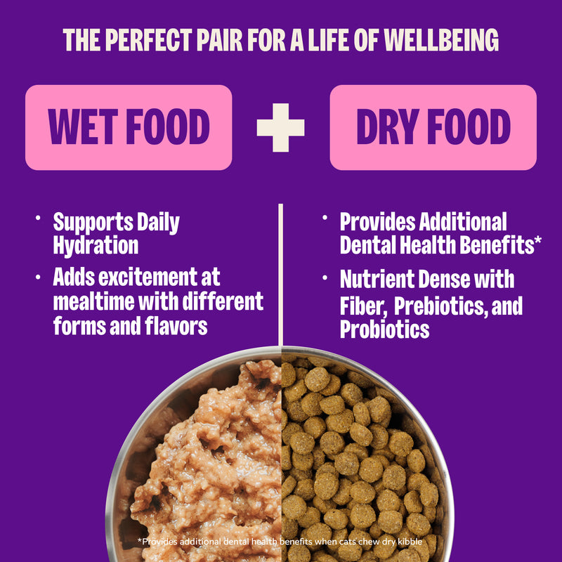 Wellness Complete Health Pate Adult Wet Cat Food, Protein-Rich, Grain-Free, 3 Ounce  (Turkey)