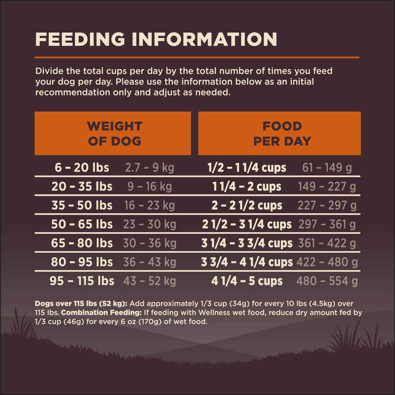 Wellness CORE Natural Grain Free Dry Dog Food, Original Turkey & Chicken, 24-Pound Bag