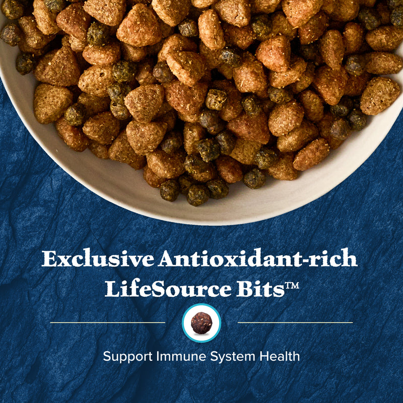 Blue Buffalo Wilderness Adult High-Protein Dry Dog Food with Real Salmon, Grain-Free, Made in the USA with Natural Ingredients, Salmon, 4.5-lb Bag