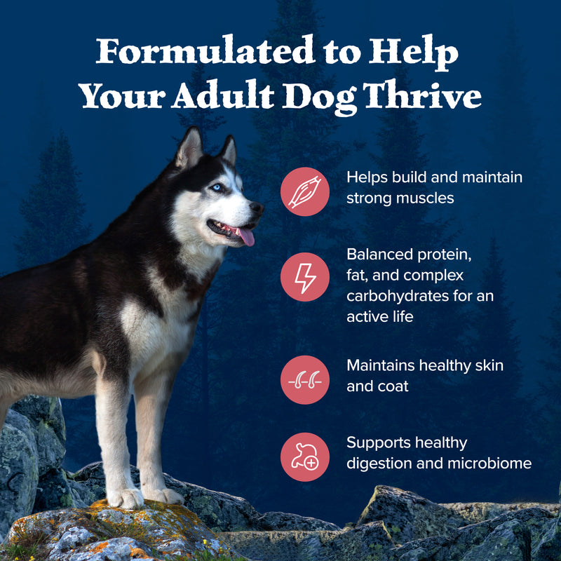 Blue Buffalo Wilderness Adult High-Protein Dry Dog Food with Real Salmon, Grain-Free, Made in the USA with Natural Ingredients, Salmon, 24-lb Bag