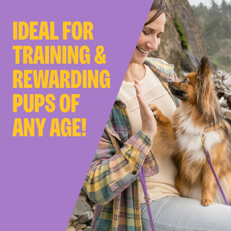 Wellness Soft Puppy Bites Lamb & Salmon Recipe Dog Treats