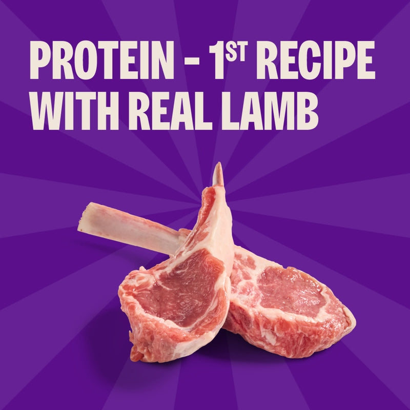 Wellness Soft Puppy Bites Lamb & Salmon Recipe Dog Treats
