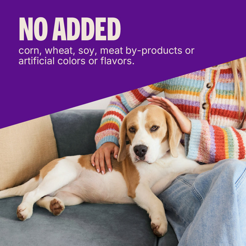 Wellness Soft Puppy Bites Lamb & Salmon Recipe Dog Treats