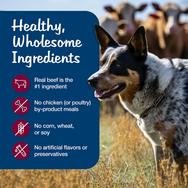 Blue Buffalo Blue's Stew Grain-Free Wet Dog Food, Made with Natural Ingredients, Hearty Beef Stew, 12.5-oz. Can