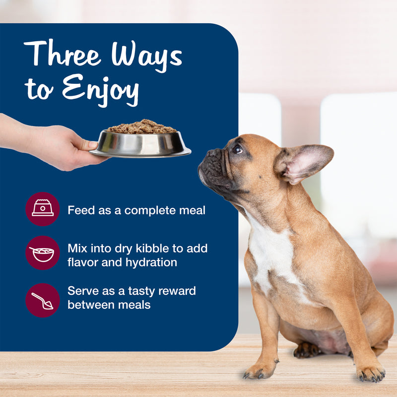 Blue Buffalo Blue's Stew Grain-Free Wet Dog Food, Made with Natural Ingredients, Hearty Beef Stew, 12.5-oz. Can