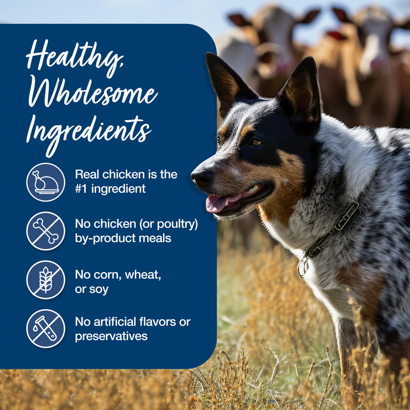 Blue Buffalo Blue's Stew Natural Wet Dog Food, Made with Natural Ingredients, Country Chicken Stew, 12.5-oz. Can