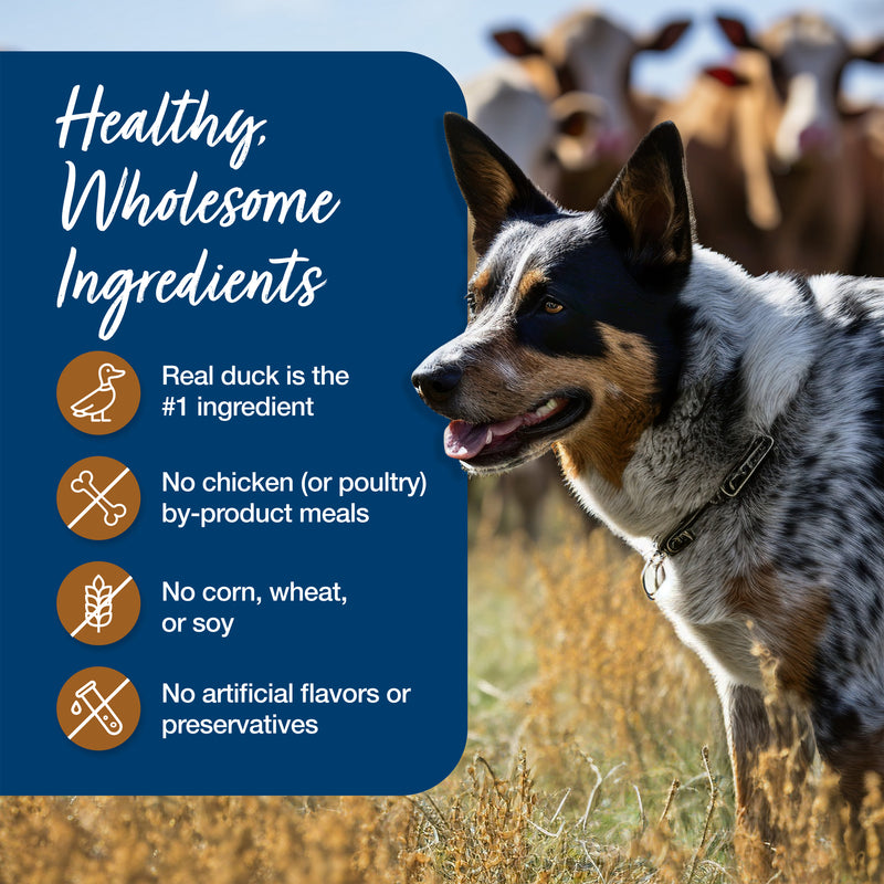 Blue Buffalo Blue's Stew Natural Wet Dog Food, Made with Natural Ingredients, Hunter's Stew, 12.5-oz. Can