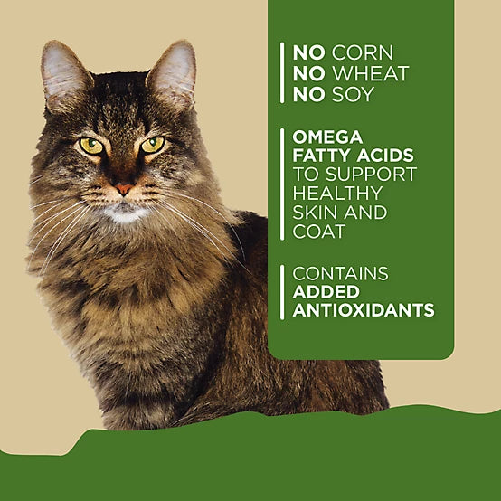 4health with Wholesome Grains All Life Stages Chicken and Beef Dinner Wet Cat Food, 5.5 oz.