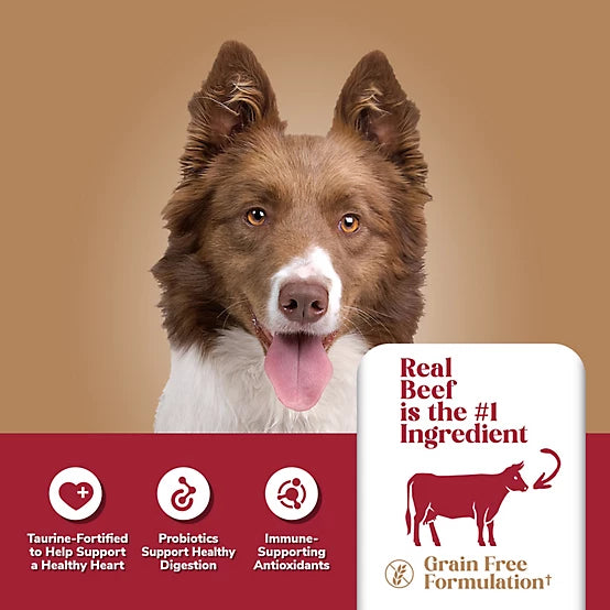 4health Grain Free Adult Beef and Potato Formula Dry Dog Food